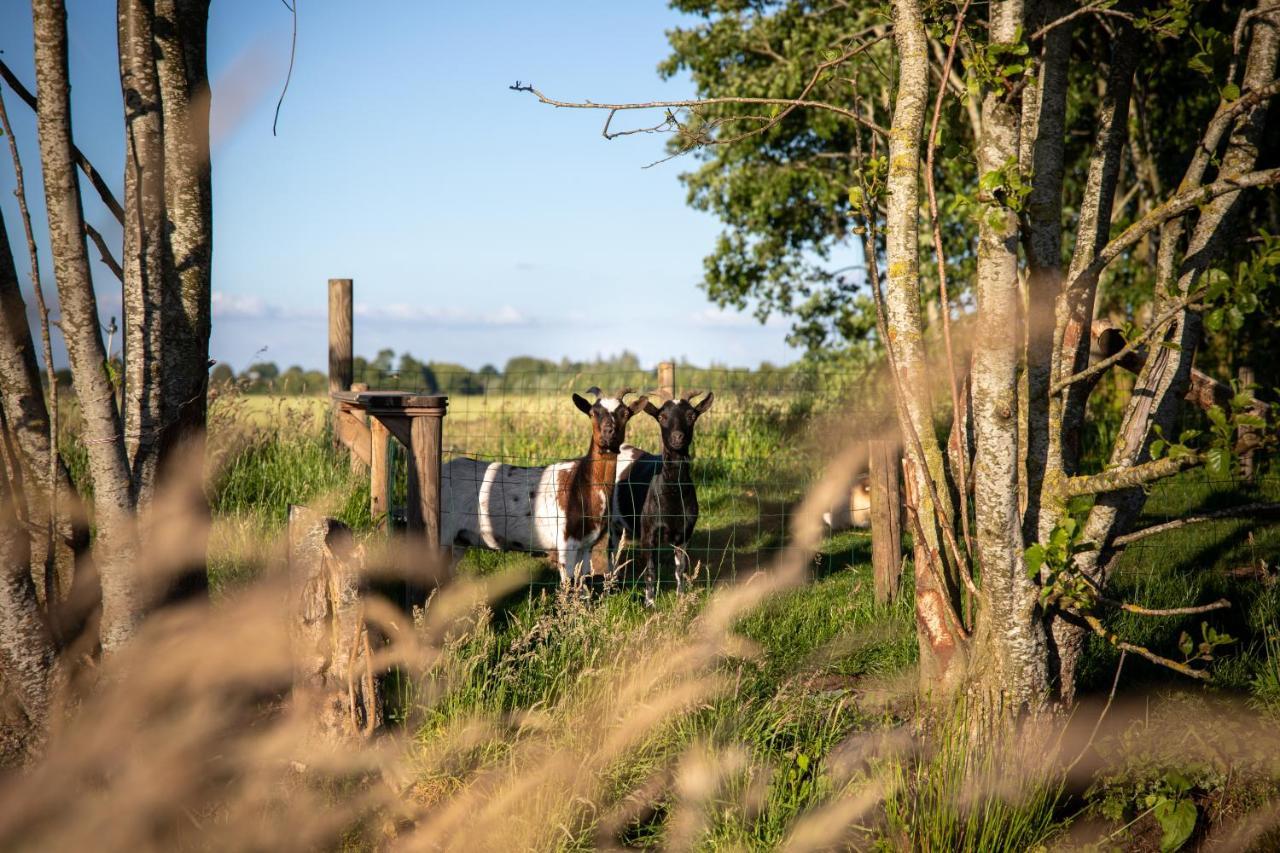 Ruyge Weyde Logies - The Farmers Daughter Oudewater